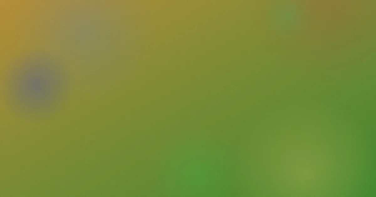 鹿先森乐队值得吗？五步判断再花钱